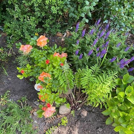 Urlaubsdomizil Norden/Norddeich, Mit Garten Экстерьер фото