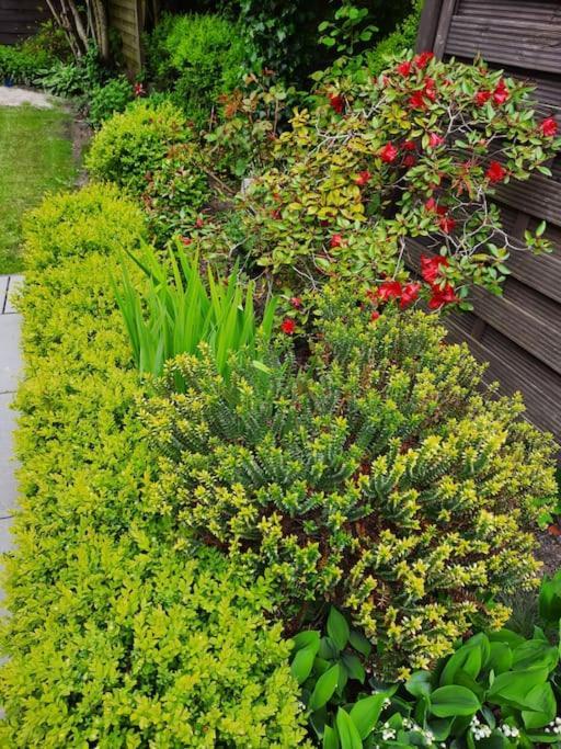 Urlaubsdomizil Norden/Norddeich, Mit Garten Экстерьер фото